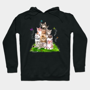 Butterfly Kisses: A Sweet Kittens and Butterflies Hoodie